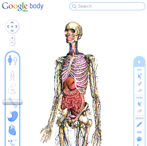GoogleBody