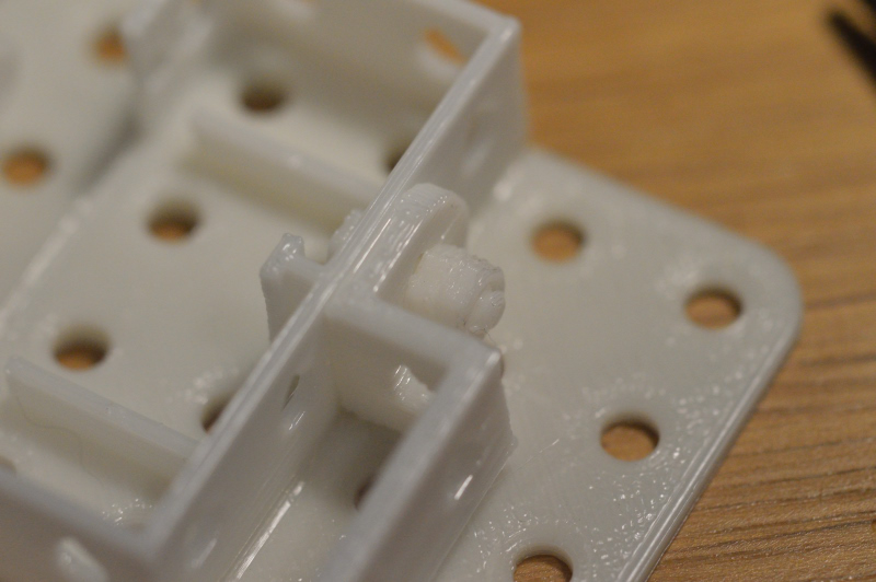 squitty DSC 0020 51dc6