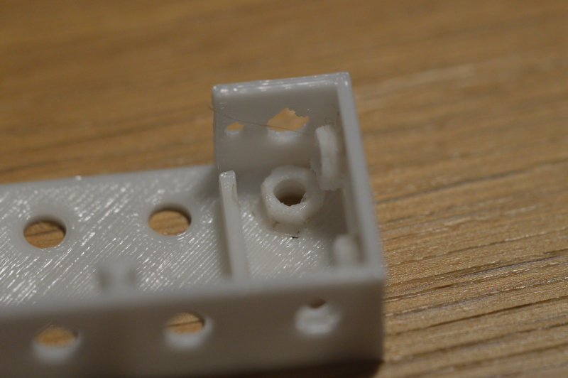 squitty DSC 0031 15d11