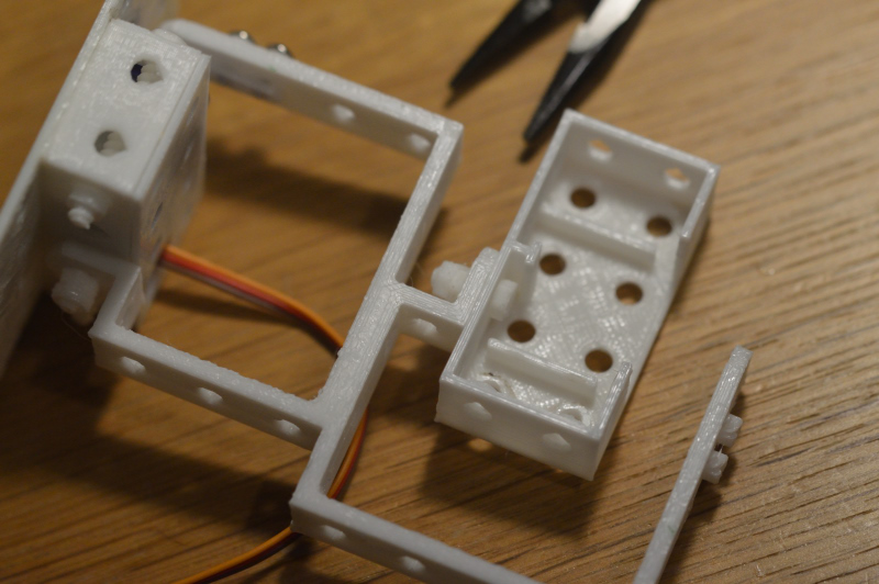 squitty DSC 0032 46a1a