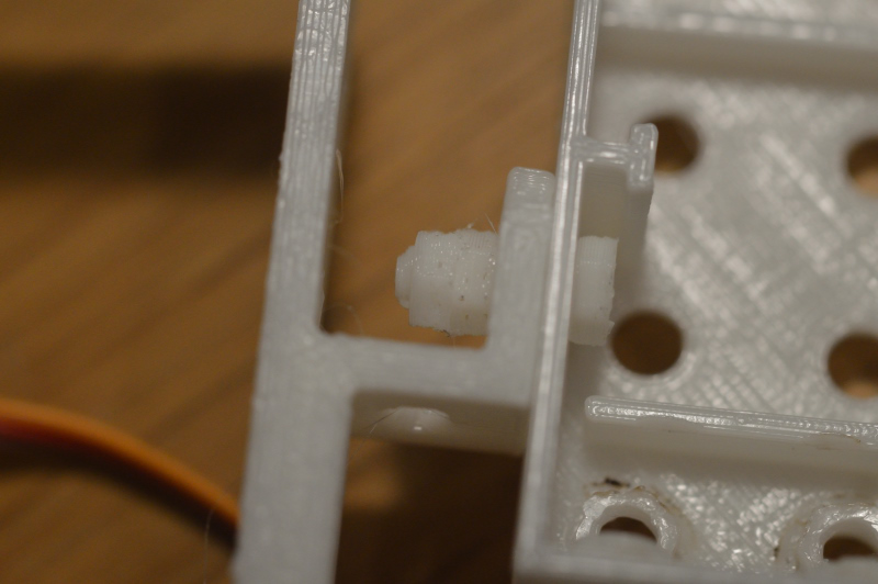 squitty DSC 0034 9c9f8