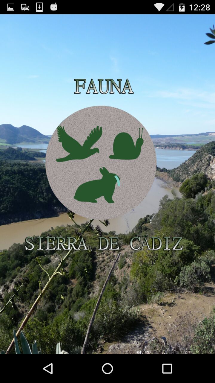 photo5848481251164531708 90baf