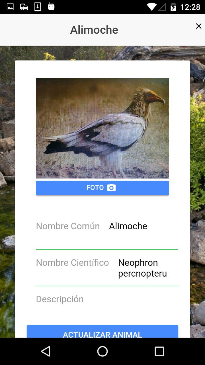 photo5848481251164531709 0646a