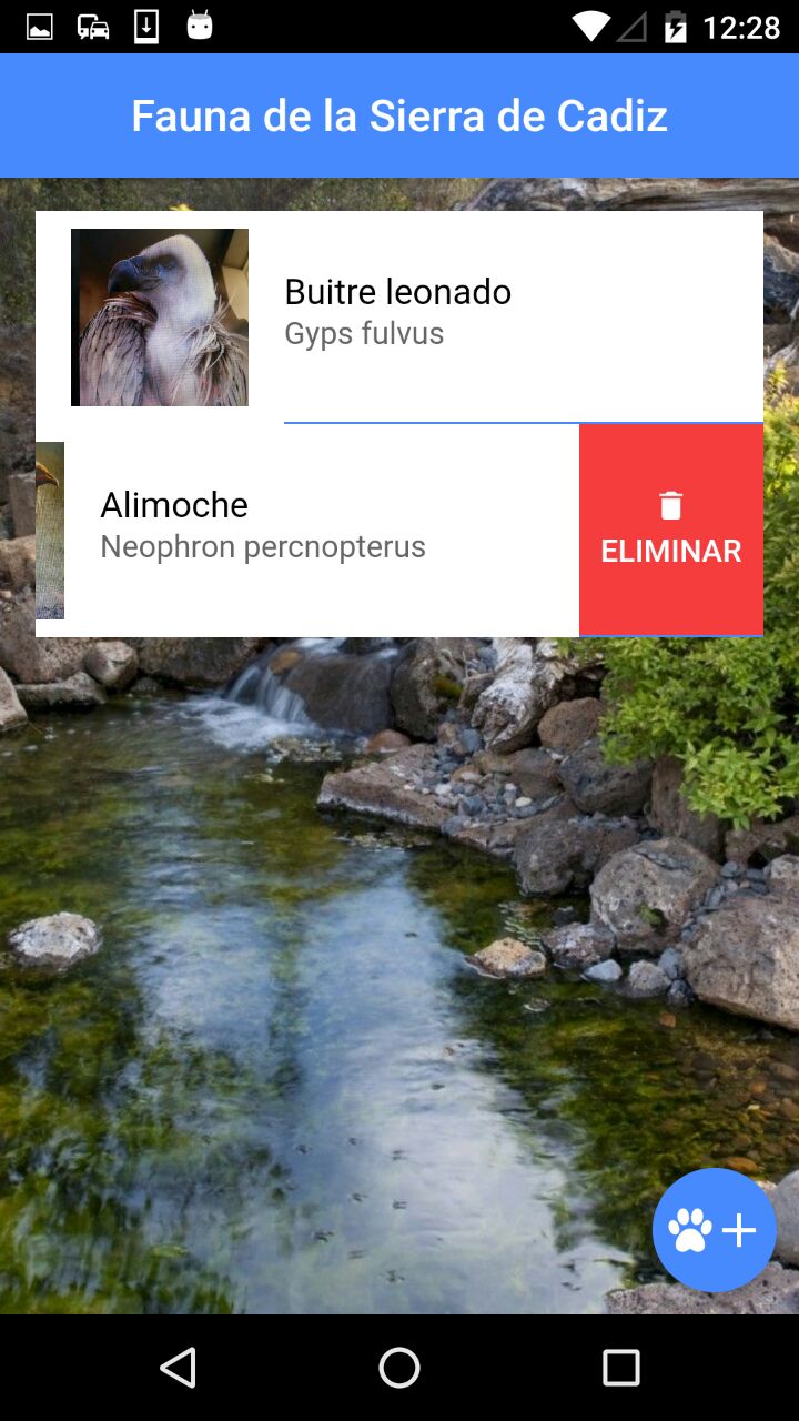 photo5848481251164531710 41bbf