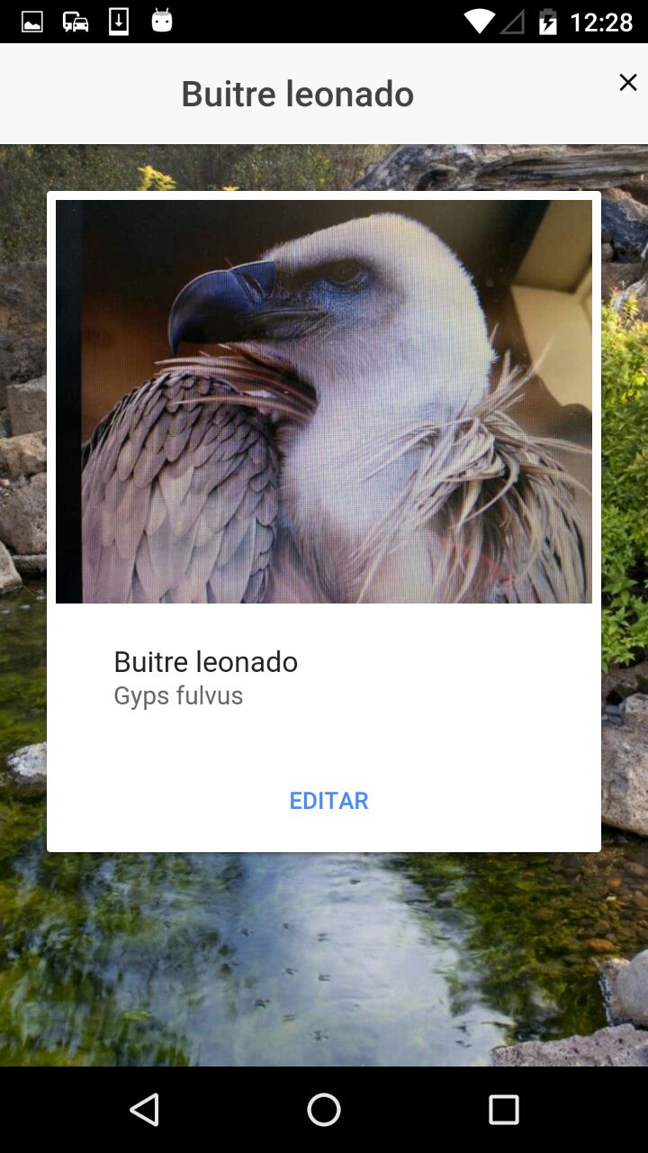 photo5848481251164531711 e0d5e