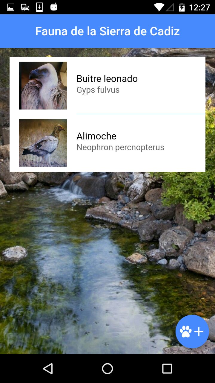 photo5848481251164531712 2f690